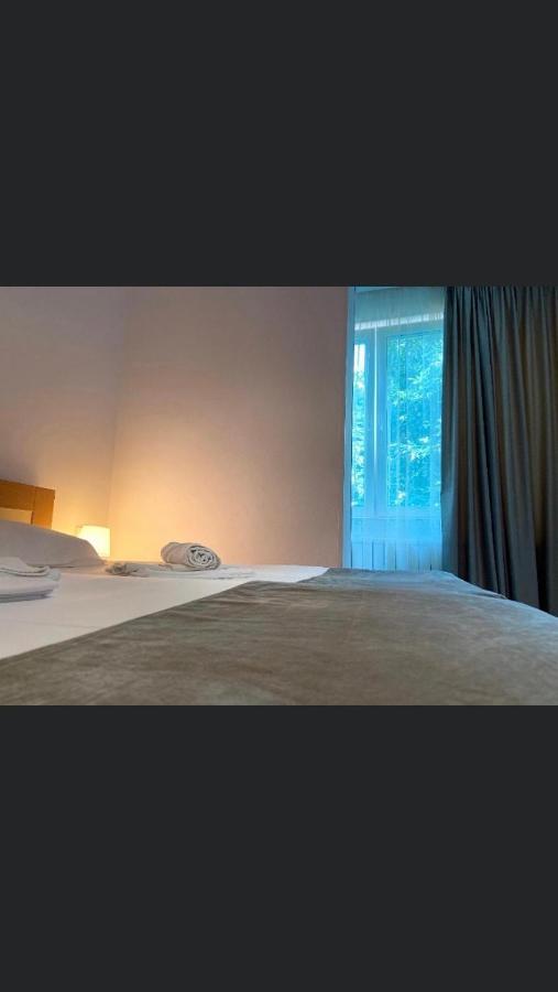 Hotel Manea Orszowa Zewnętrze zdjęcie