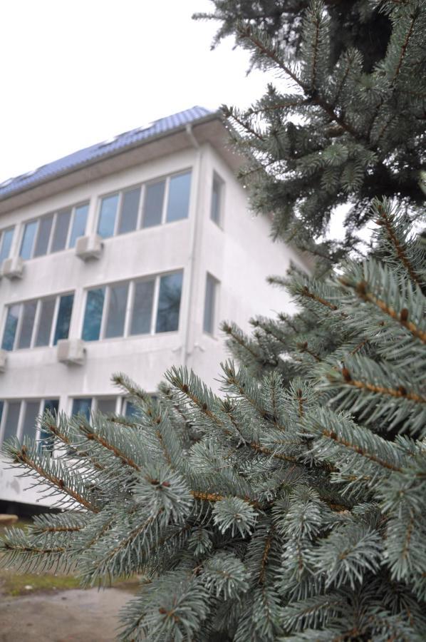 Hotel Manea Orszowa Zewnętrze zdjęcie